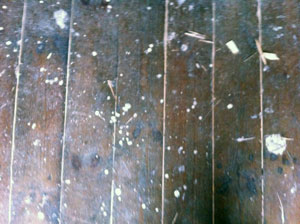 pine floor cleaning leeds